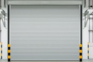 Sectional Door